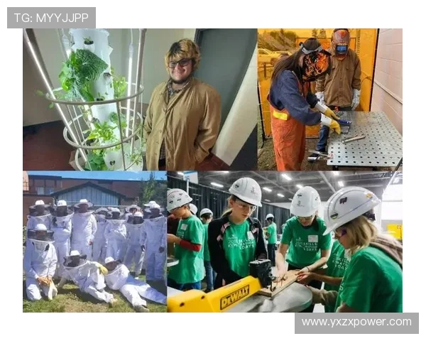 疫情时代企业家危机应对与可持续创新发展路径全面深度探索实践研究